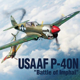 USAAF P-40N "Battle of Imphal"  (1/48)
