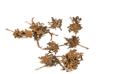 Maple - Dead Leaves (1/35) - Pegasus Hobby Supplies