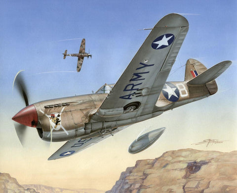 P-40F Warhawk " Short Tails over Africa" (1/72)
